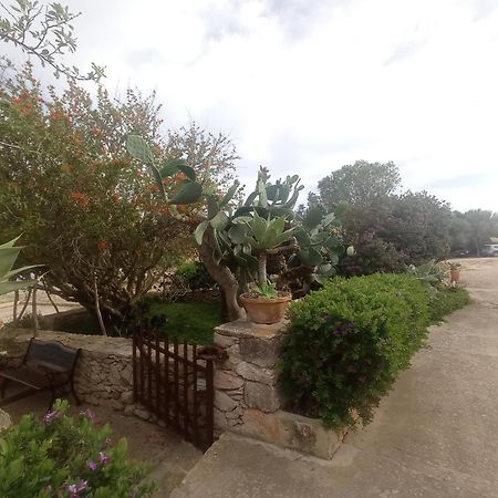 Casa Rural Es Cap De Barbaria San Francisco Javier Zewnętrze zdjęcie