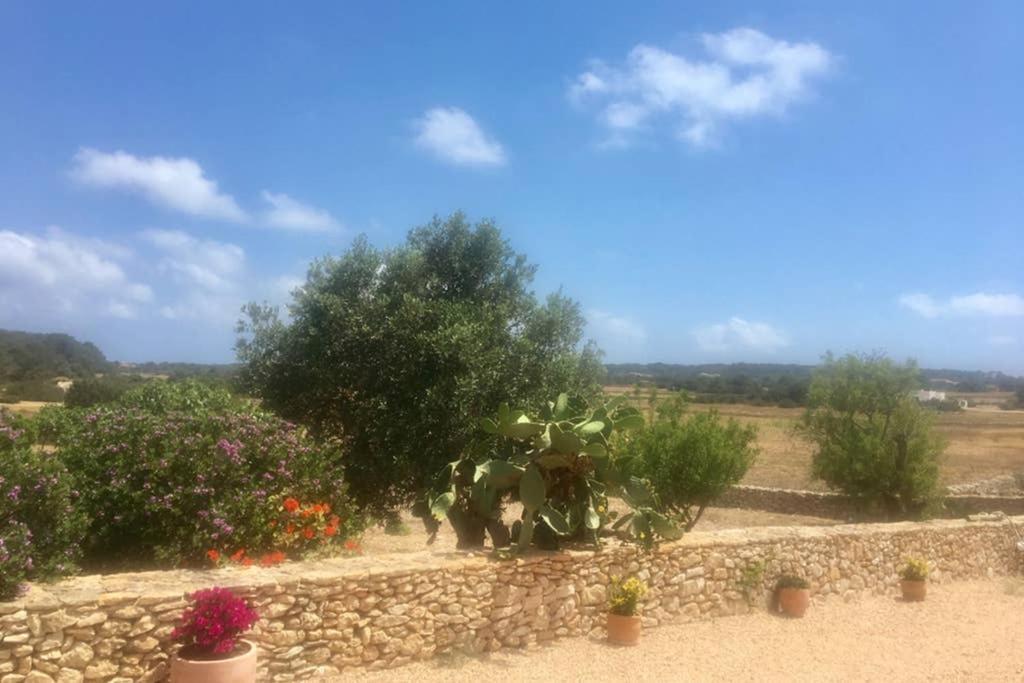Casa Rural Es Cap De Barbaria San Francisco Javier Zewnętrze zdjęcie