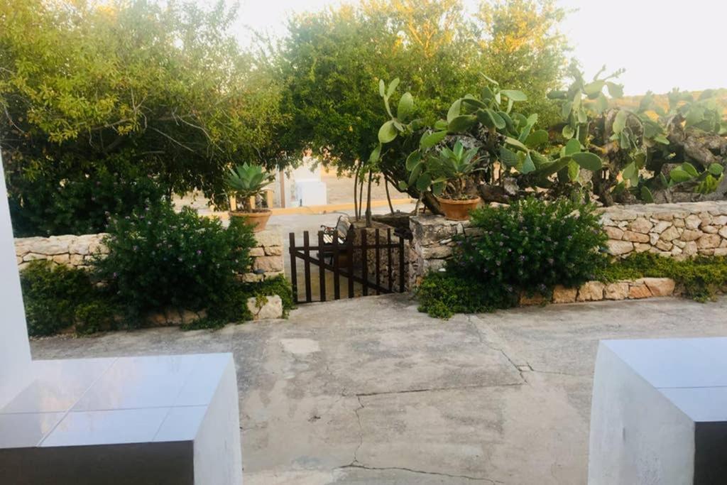 Casa Rural Es Cap De Barbaria San Francisco Javier Zewnętrze zdjęcie