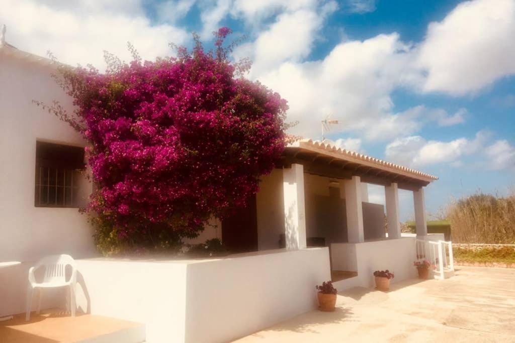 Casa Rural Es Cap De Barbaria San Francisco Javier Zewnętrze zdjęcie