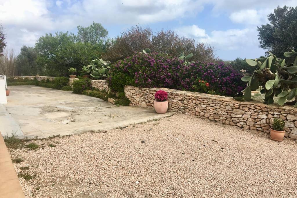 Casa Rural Es Cap De Barbaria San Francisco Javier Zewnętrze zdjęcie